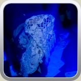 Acidmonkey_280511(100)