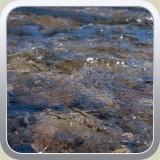 LorraineBirthday_138