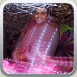 Progressline_310114_38